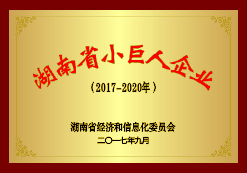 湖南省小巨人企業(yè)